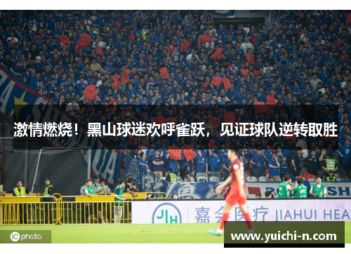 激情燃烧！黑山球迷欢呼雀跃，见证球队逆转取胜